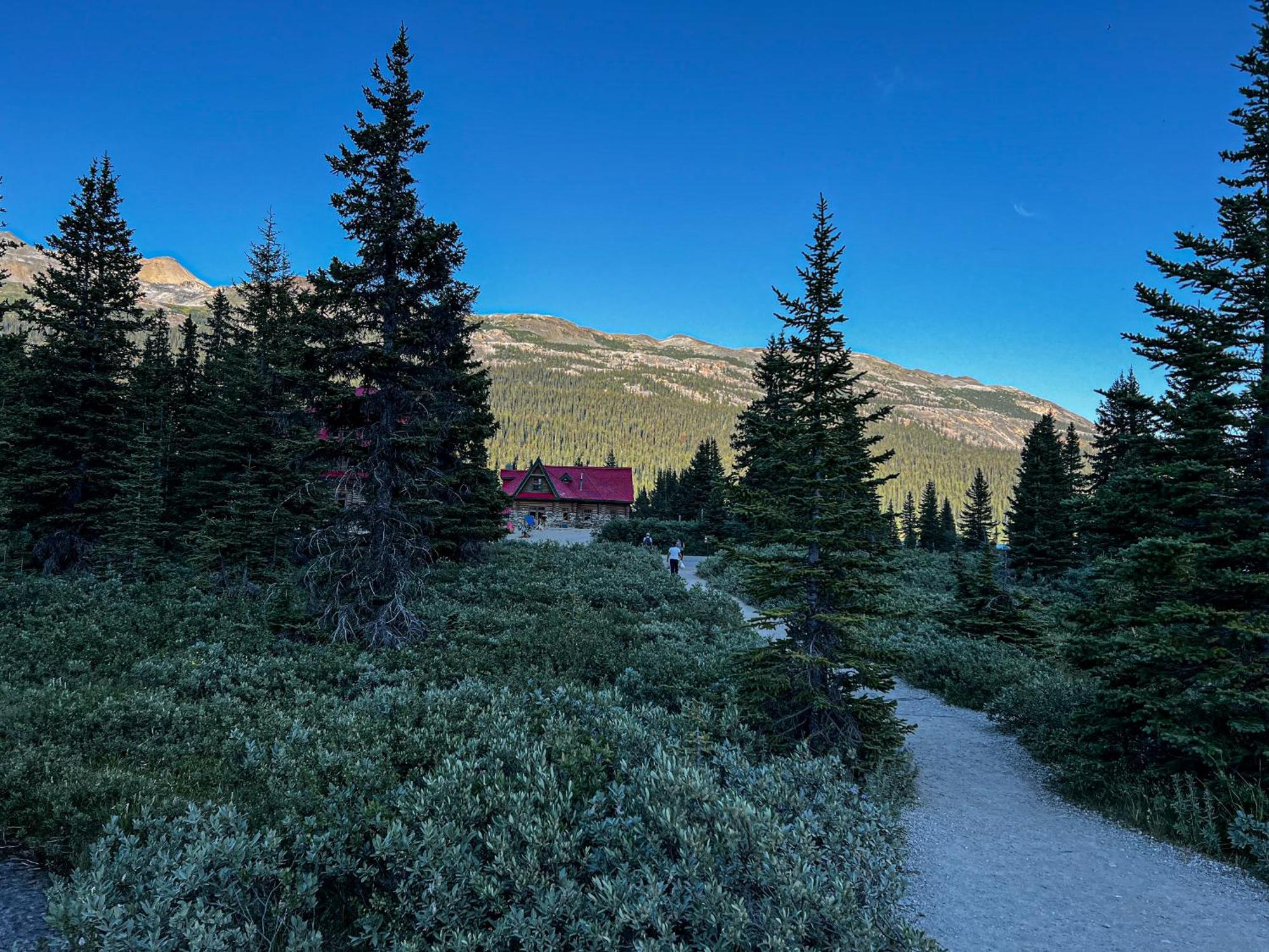 The Lodge At Bow Lake เลคหลุยส์ ภายนอก รูปภาพ